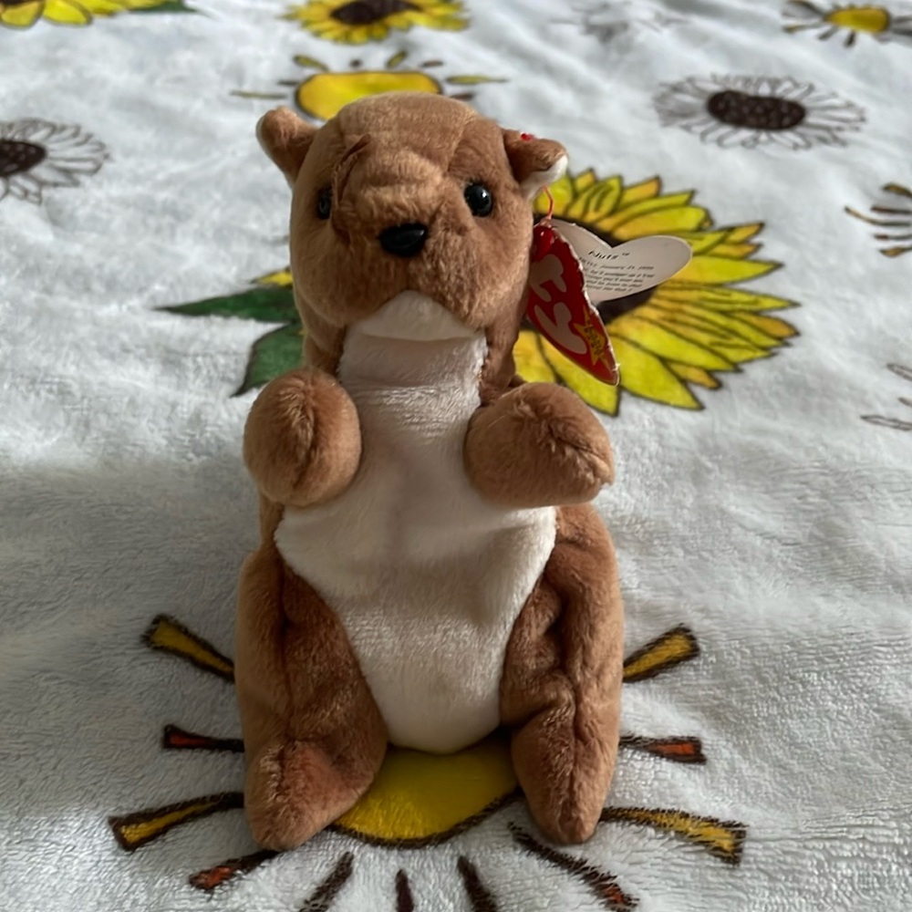 Nuts Beanie Baby